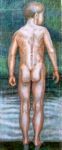 Don Gentle, boy, nude
