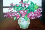 Don Gentle, red begonias